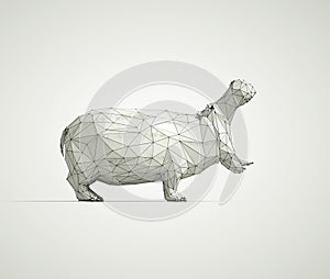 Low poly hippopotam on white background