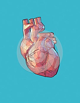 Low poly human heart illustration on blue BG