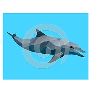 Low poly illustration of dolphin