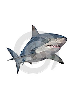 Low poly illustration of a shark