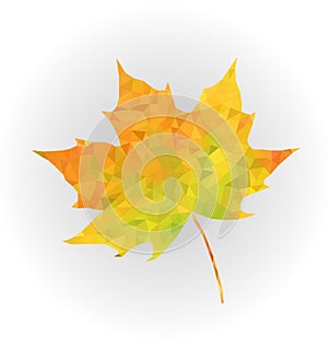 Low poly leaves, Art of autumn, Low poly fall, the passage of time, vectorgraphics photo