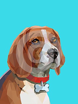 Low poly portrait of beagle dog.