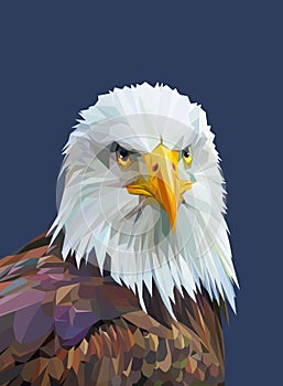 Low poly poster with eagle. Vector illustration.