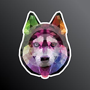 Low poly siberian husky dog head