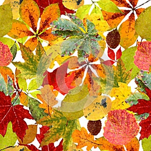 Low poly style. Realistic autumn leaves. Seamless pattern Vector illustration