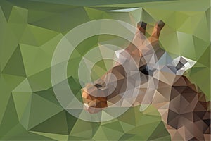 Low poly, triangular, giraffe head on green polygonal background
