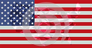 Low Poly Usa Map on Flag Vector