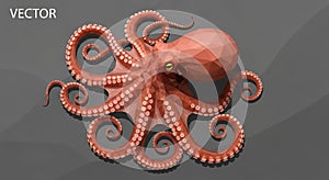 VECTOR is visible in the upper left corner indicating the graphic