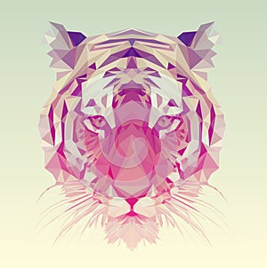 Low Poly Vector Tiger Illustration