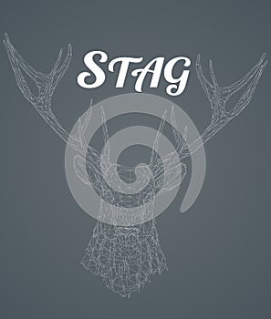 Low poly wireframe stag head on gray background