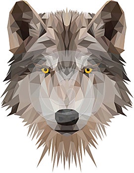 Low poly wolf's head