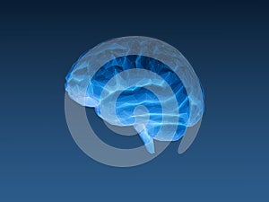 Low poly x ray brain on dark blue BG