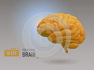 Low poly yellow brain on gray BG