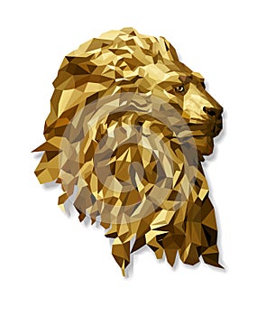 Low polygon Llion geometric pattern - Vector illustration