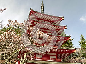 Low shot of chureito pagoda at arakura sengen shrine in japan