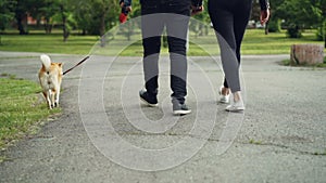 Low shot of people`s legs walking in the park with beautiful purebred dog enjoying walk in recreational area. Path