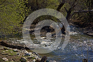 Low stony bank of the mountain river Wajan. Altai, Siberia, Russia. Landscape photo