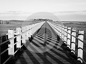 Boardwalk, perspective with vanishing point leading lines and shadow pattern