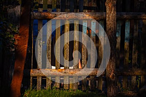 Low sunshine on a wooden fence and grass