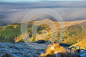 Low Tatras mountain ridge under mist during autumn