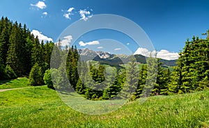 Nízké Tatry z Jánské doliny, Slovensko