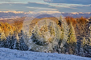 Low Tatras mountains from meadow near Lubietovsky Vepor