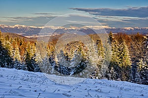 Low Tatras mountains from meadow near Lubietovsky Vepor