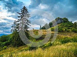 Nízké Tatry, Slovensko