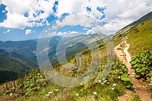 Nízké Tatry, Slovensko