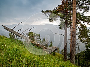 Low Tatras mountains and trees in cloudy shade, Slovakia