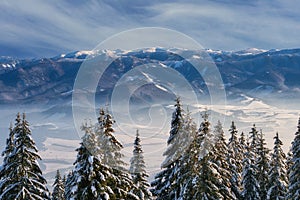 Low Tatras peaks from meadow under Dlha Luka hill on Mala Fatra mountains  near Martinske Hole