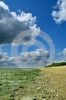 Low Tide