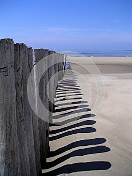 Low tide photo