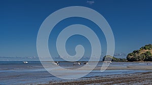 Low tide. Algae on the exposed seabed. Madagascar. Nosy Be