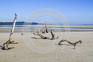 Low tide Amity