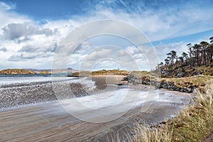 Low Tide at Ards Forest Park