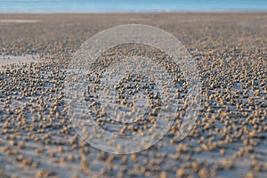 Low tide on the beach