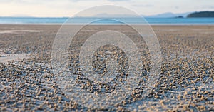 Low tide on the beach