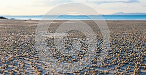 Low tide on the beach