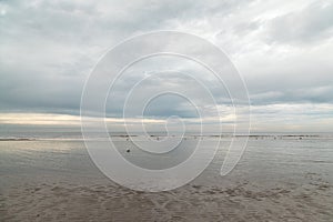 Low tide at the North Sea beach near Katwijk, South Holland, the Netherlands photo