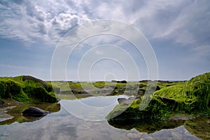 Low Tide At Charmouth