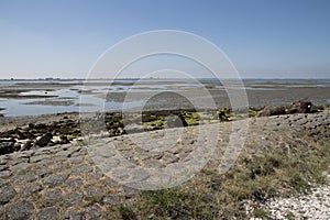 Low tide at the coast of the Eastern Scheldt