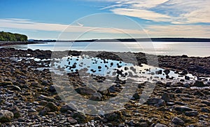 Low tide on the coast of Maine with a large tidal pool on Penobscot Bay