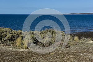 Low Tide coastal landscape in Peninsula Valdes, World Heritage Site,