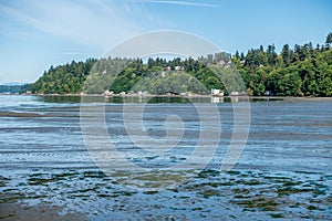 Low Tide At Dash Point 3