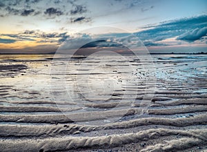 Low Tide at Dawn