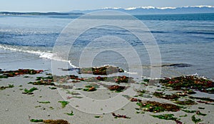 Low tide at Deception Pass state Park