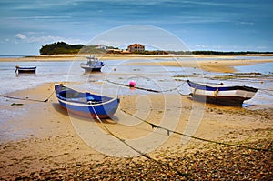 Low Tide photo