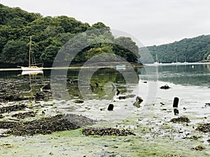 Low tide at idyllic Roundwood Quay