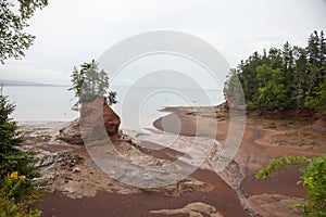 Low tide island